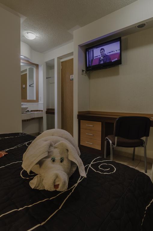Hotel Petit Tehuacán Rom bilde