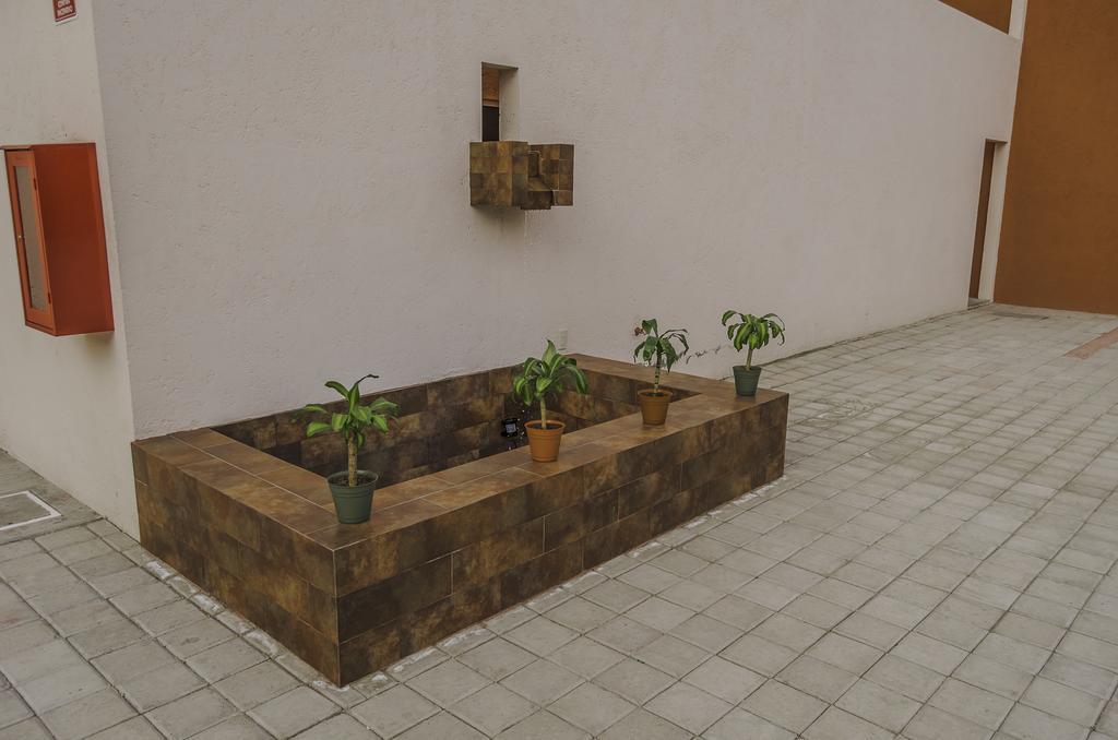Hotel Petit Tehuacán Eksteriør bilde
